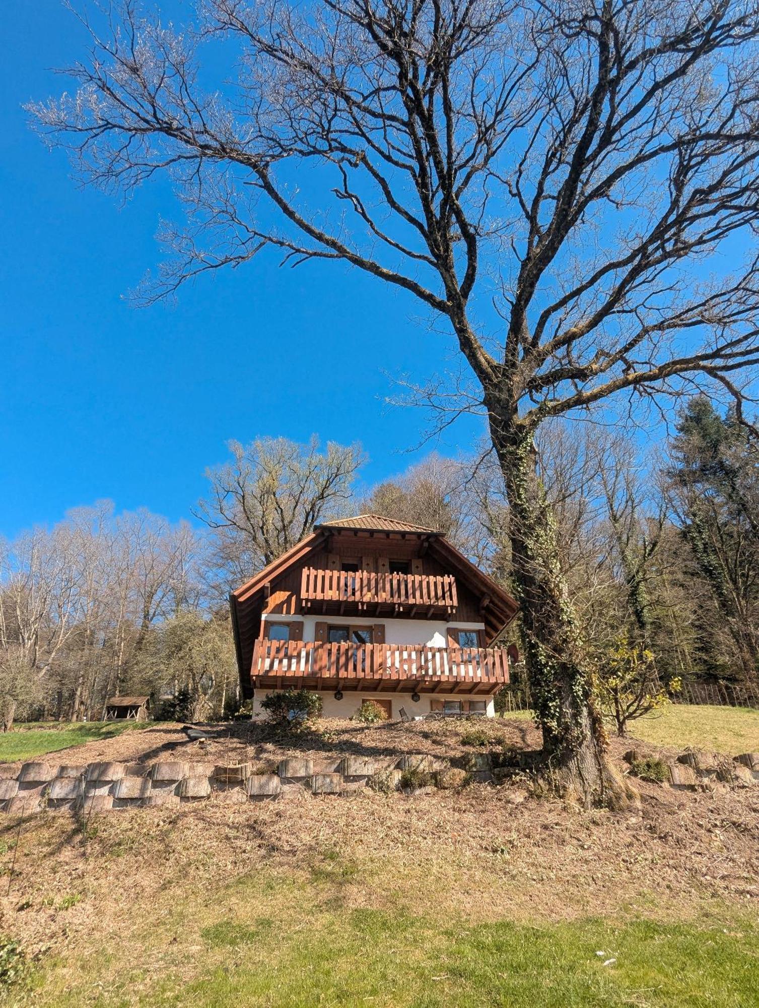 Ferienhaus Rotkreuz Haslach im Kinzigtal Esterno foto